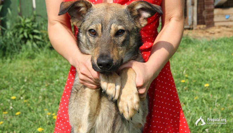 Алекс 8 мес в дар