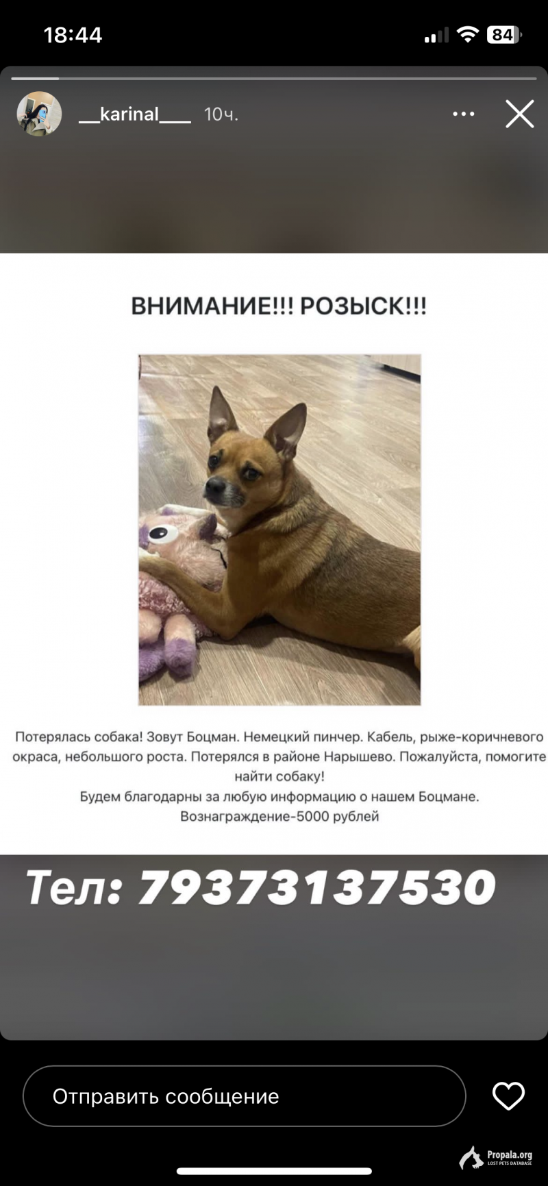 ВНИМАНИЕ!!! РОЗЫСК ЗА ВОЗНАГРАЖДЕНИЕ!