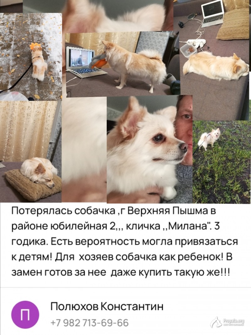 Потерялась