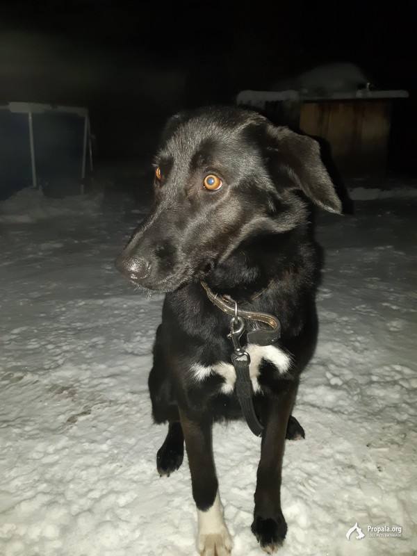 Поиски продолжаются