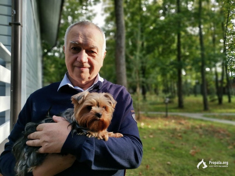 Деревня Алексино - Истринский район - 24 августа
