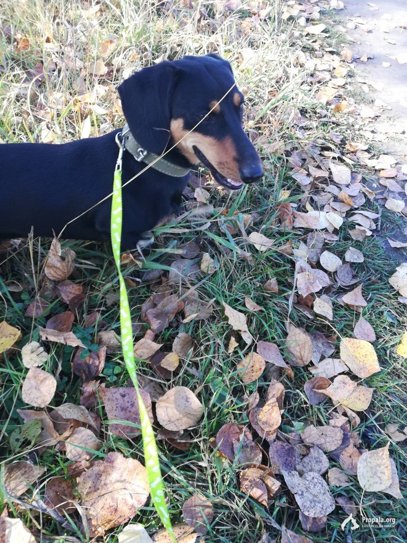 Пропал, возможно украден.