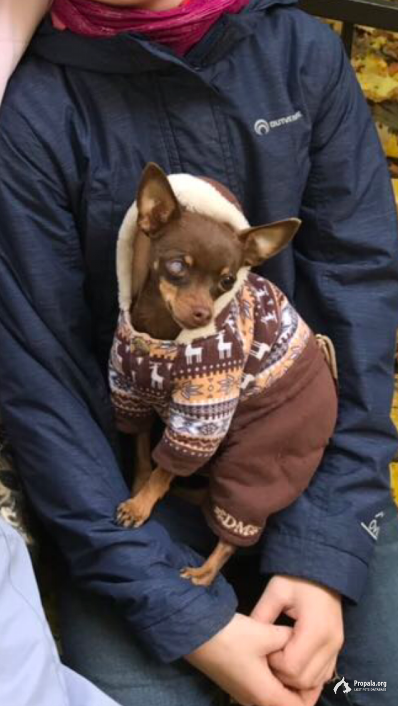 Пропал на трассе Чебоксары сурское