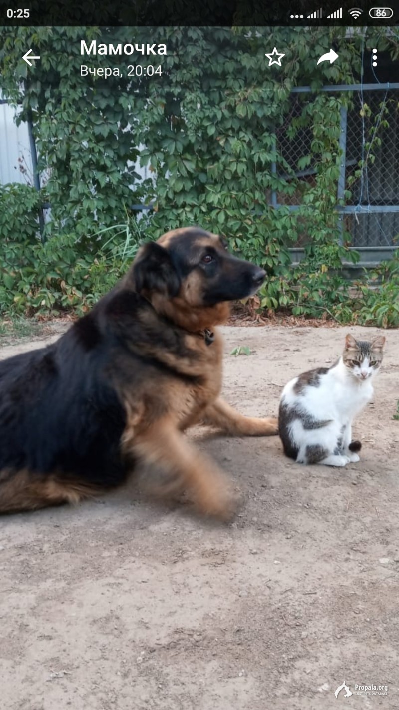 Помогите найти нашу любимую!