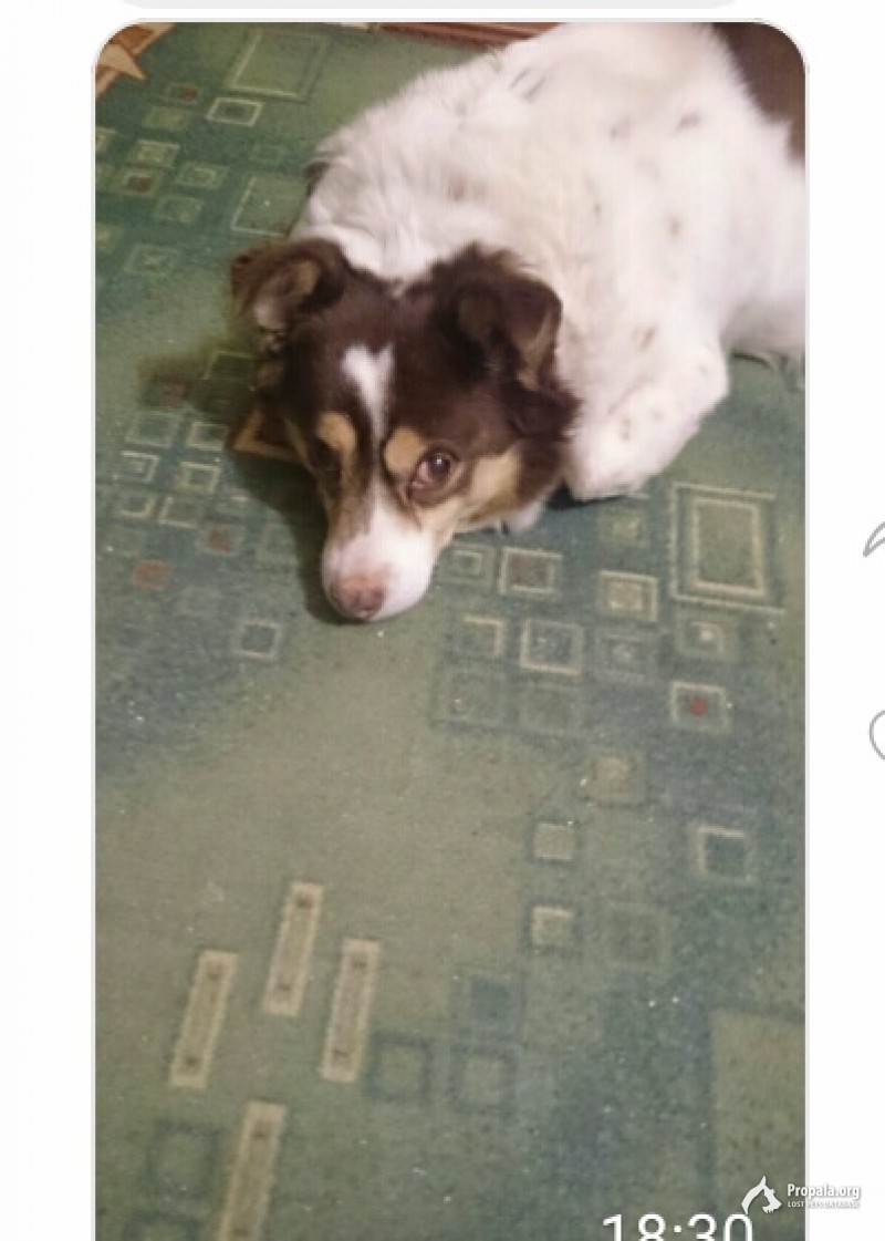 Помогите найти!