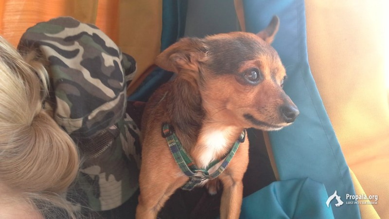 Помогите найти!