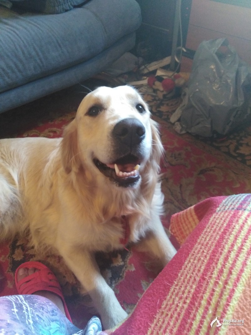 Помогите найти