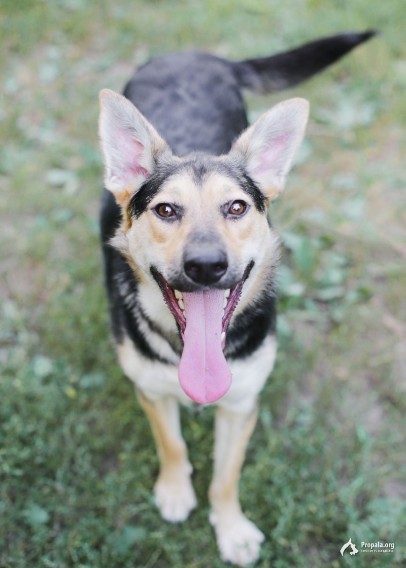 Мальта, 2 года.