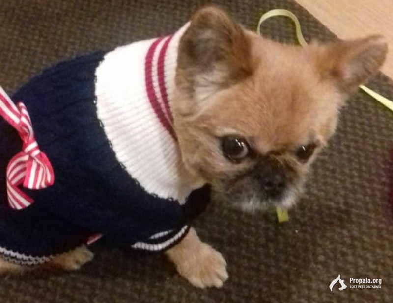 Помогите найти