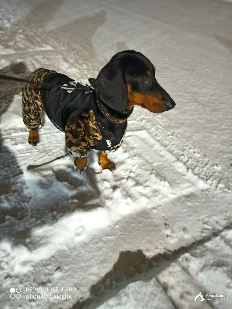 Пропал наш мальчик