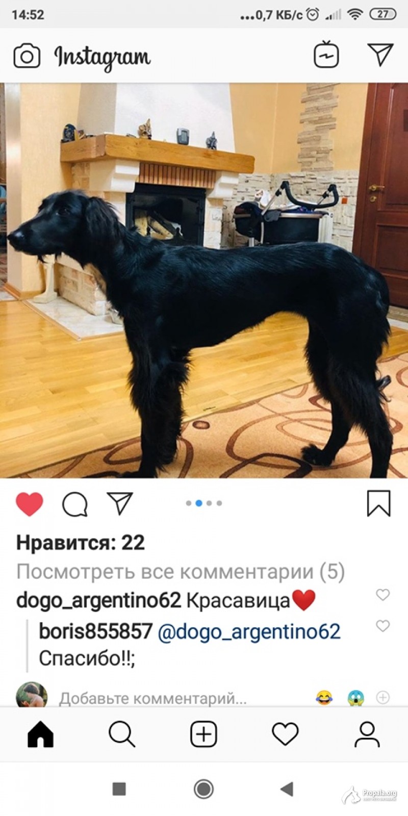 УБЕЖАЛ ЩЕНОК ТАЙГАНА!