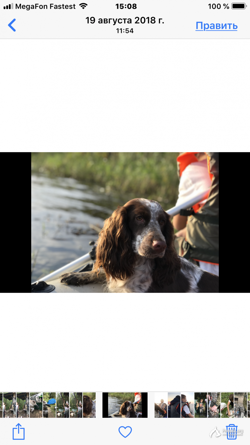 Пропала 12 июня в 07:00