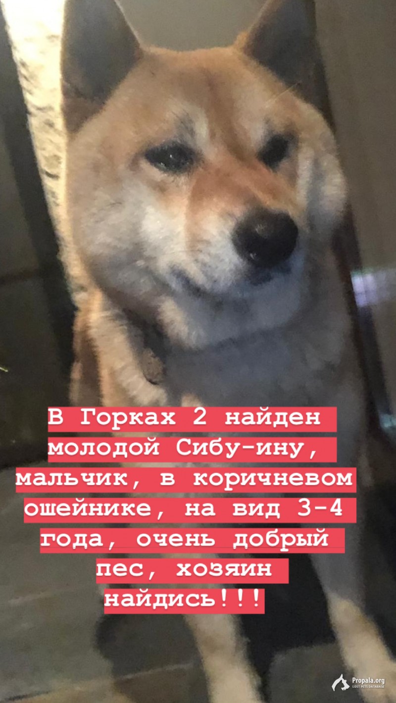 Найден Сибу-ину