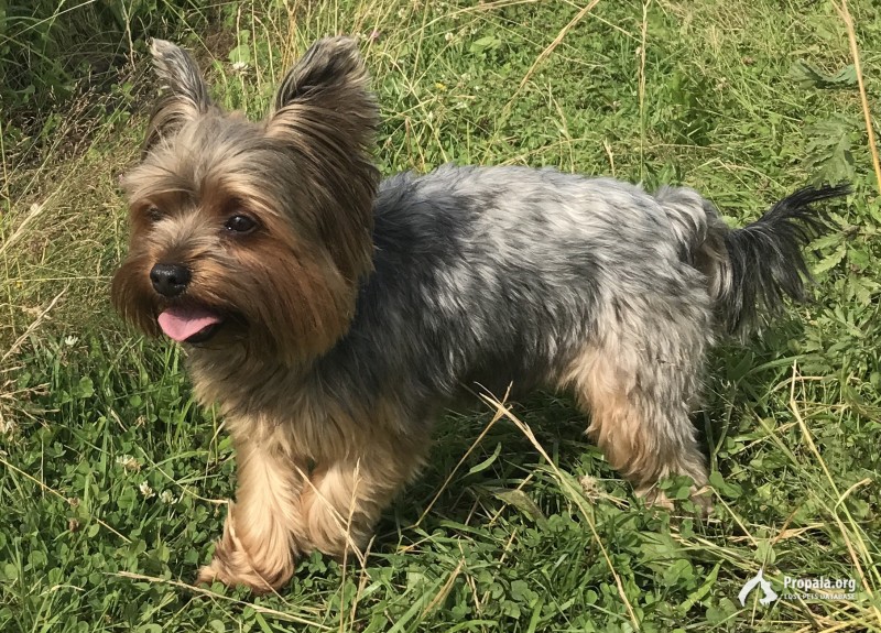 ПРОПАЛ 14.07.19