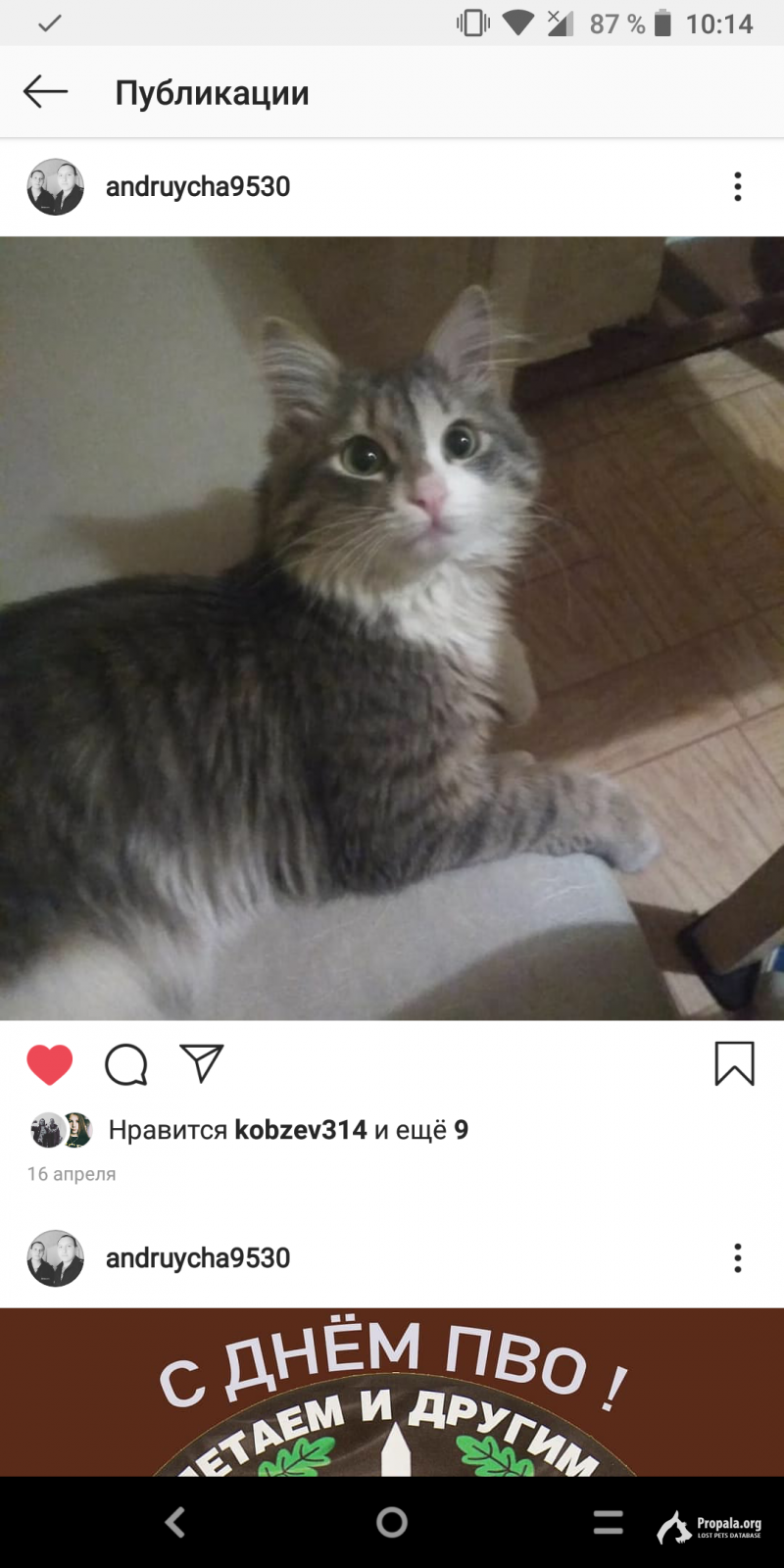 Потерялся в Немчиновке