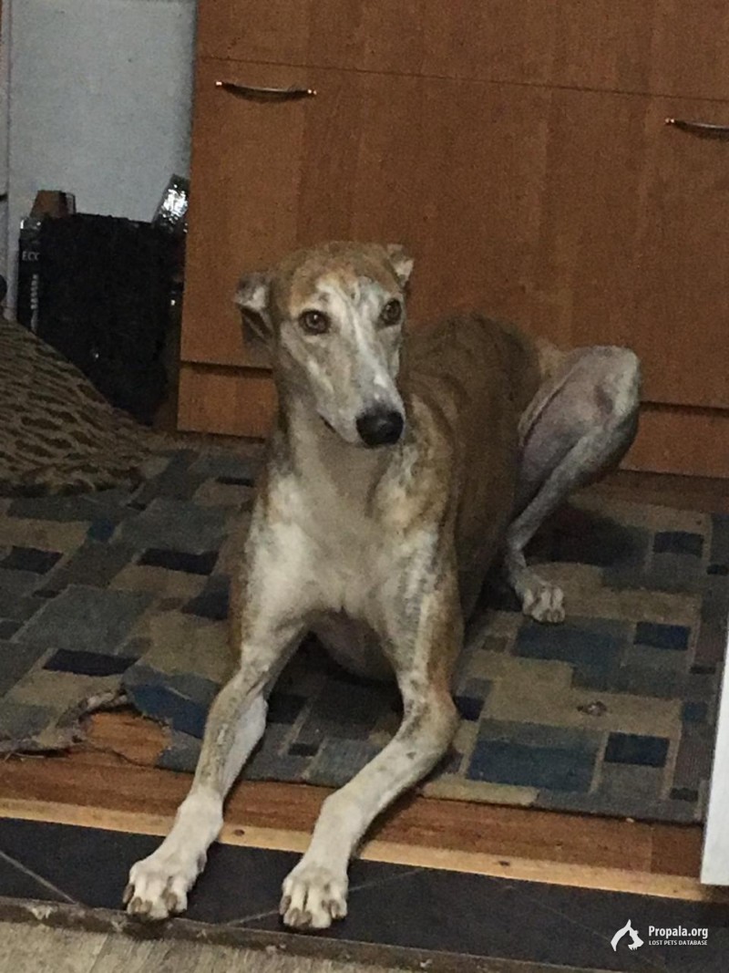 Прошу  помощи