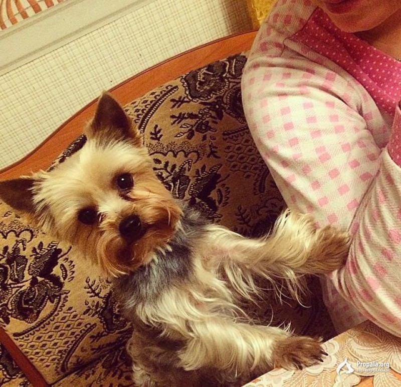 Помогите найти, пожалуйста!!!