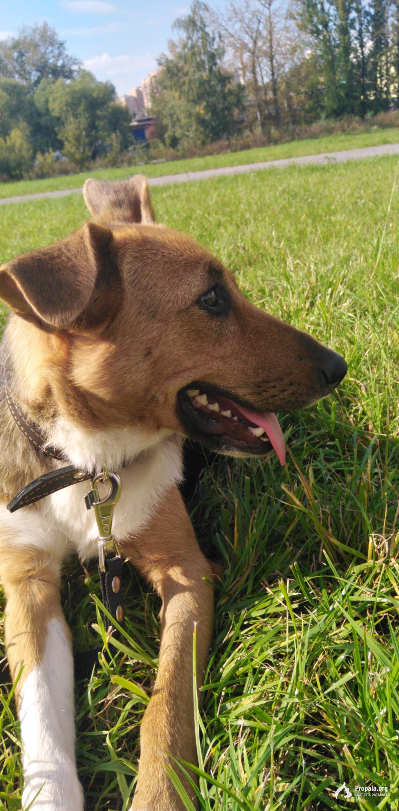 Ласковая веселая девочка