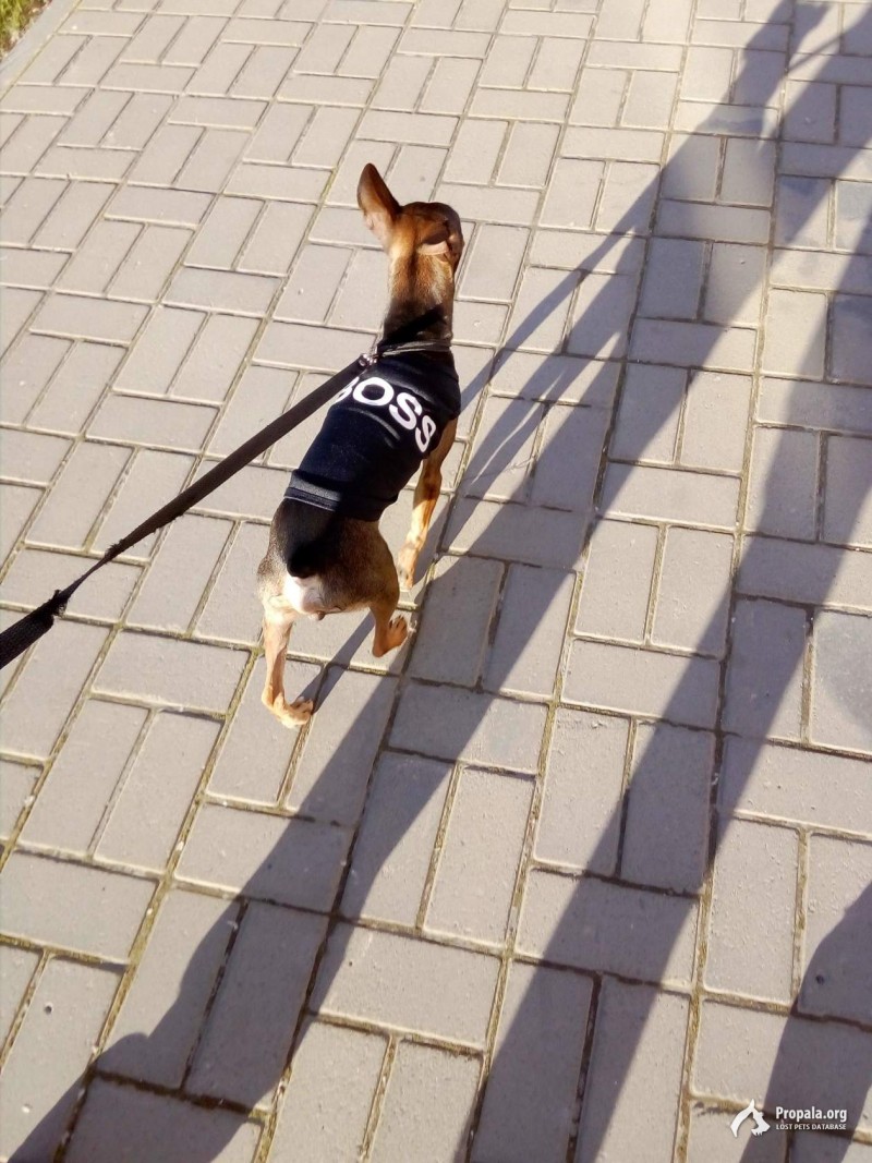 Просим пожалуйста помочь с поиском.