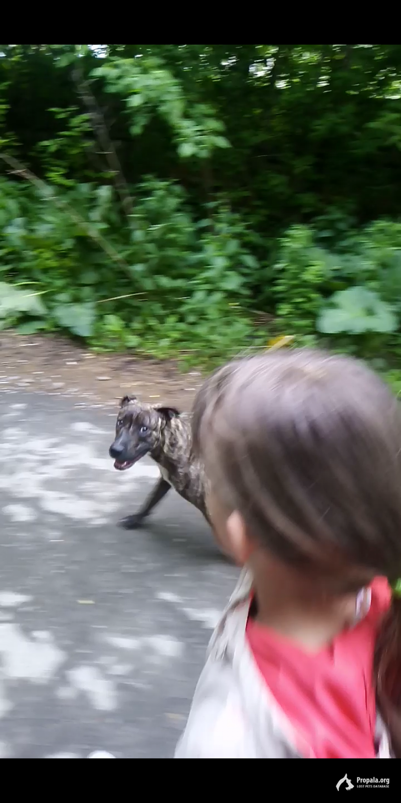 10.06.19 вечером между Белово и Ленинск-Кузнецким