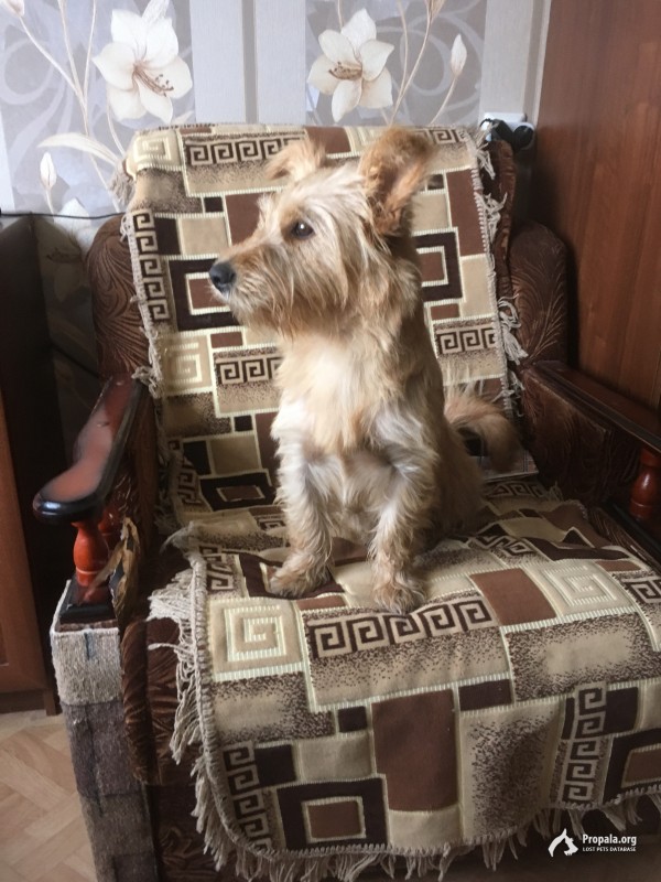 Ищет новый дом