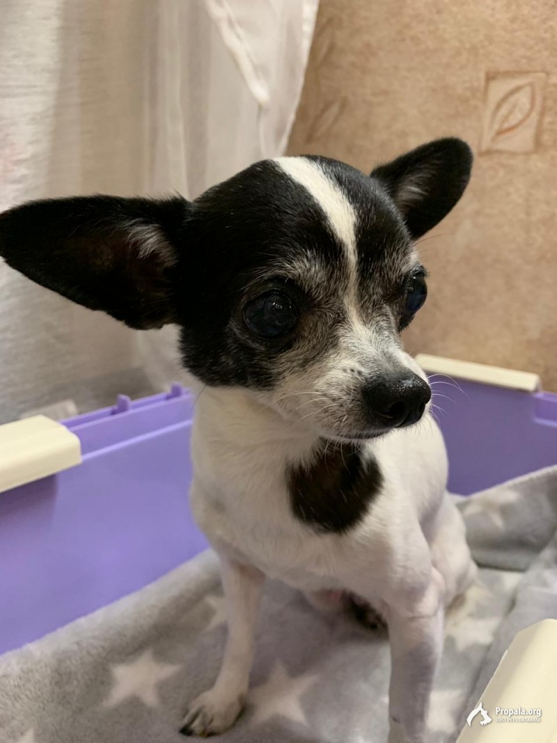 Найдена 21.09.19