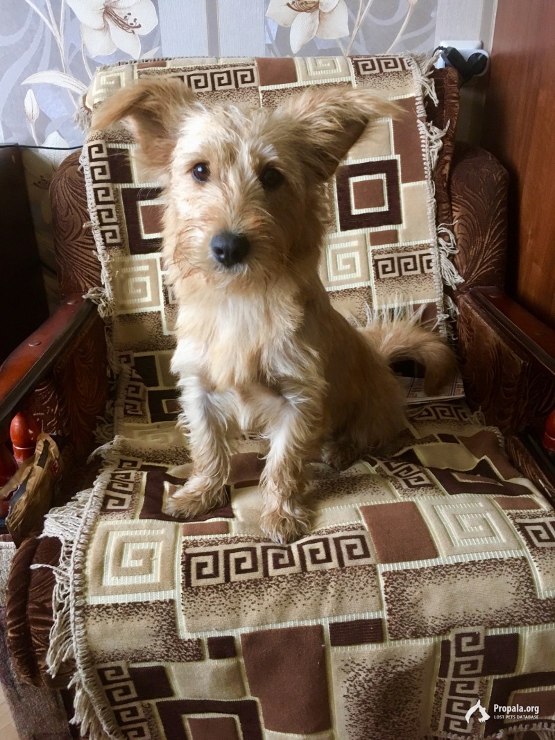 Найдена 22.07.19