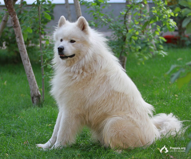 Вознаграждение гарантируем