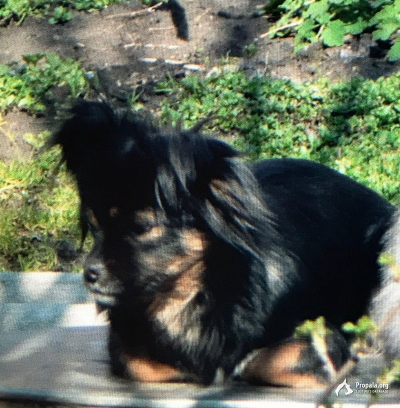 помогите найти