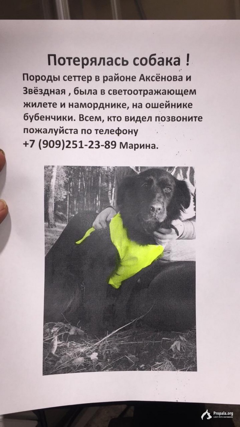 Обнинск Калужская область