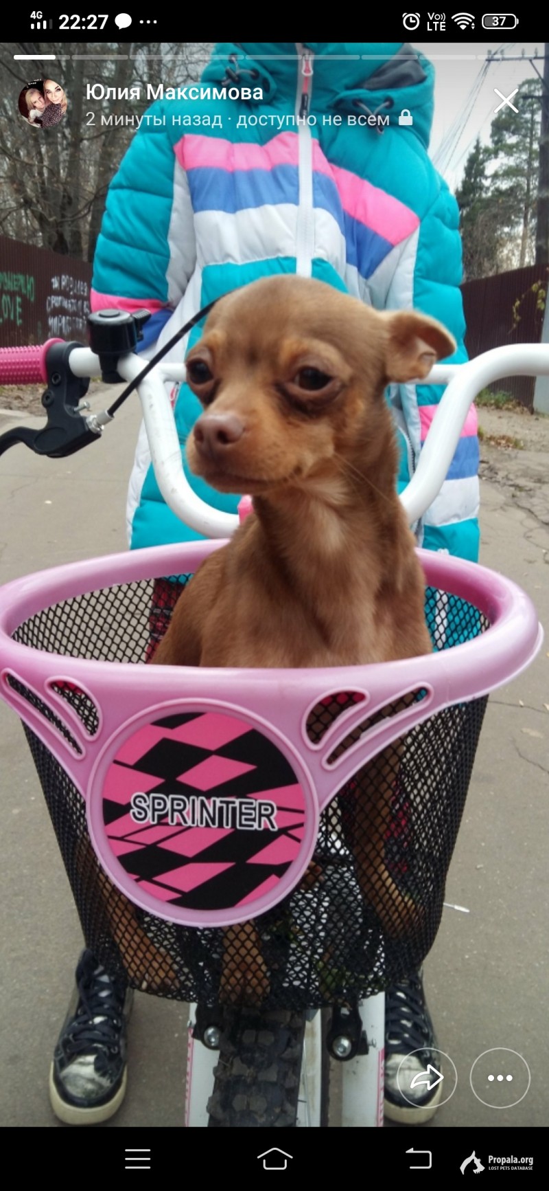 Пропал 14.03.20 в 16.00 в районе восточное Измайлово