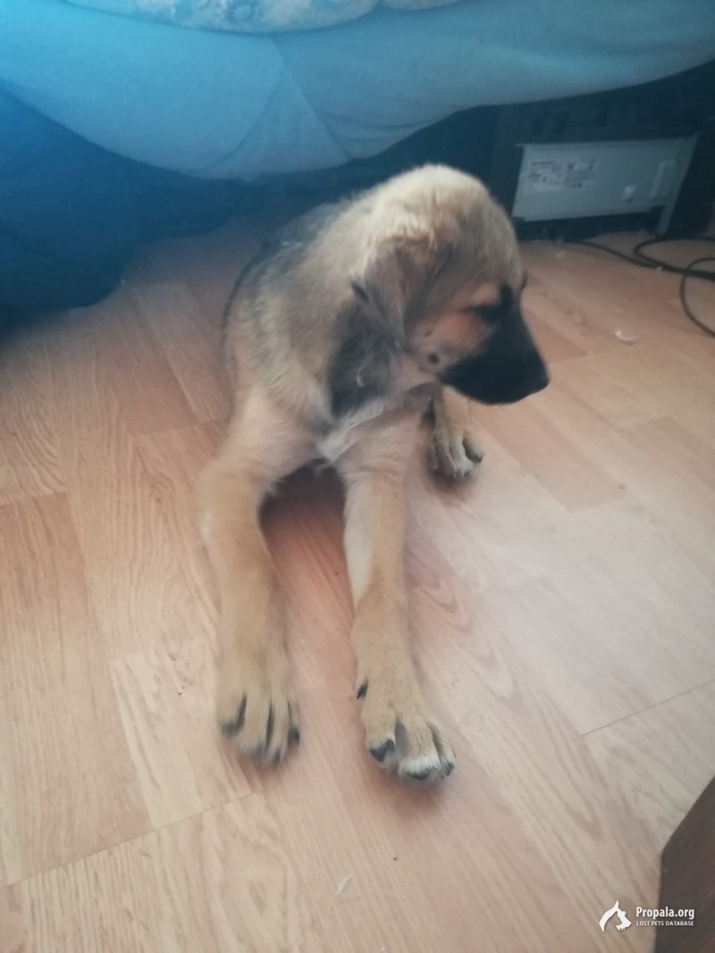 Jnlfv d ljv?[jhjibt herb