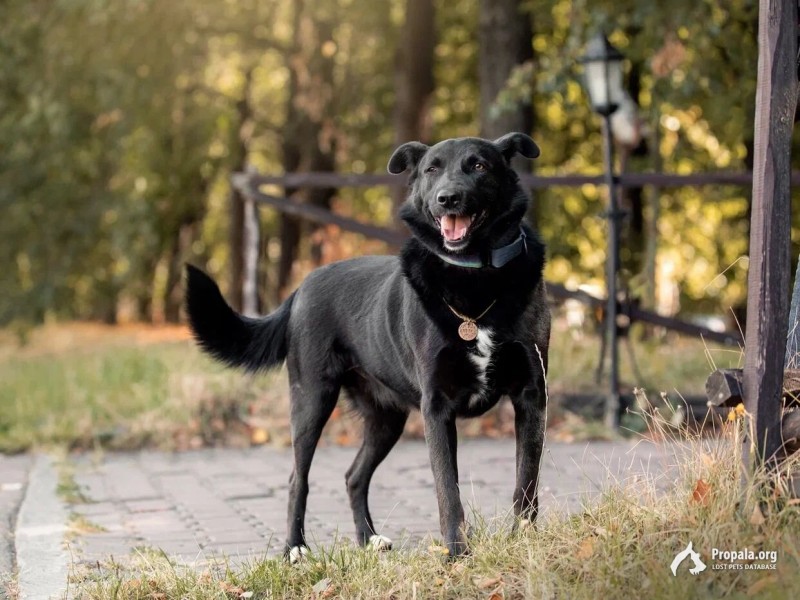 Петручо мечтает навсегда покинуть застенки приюта