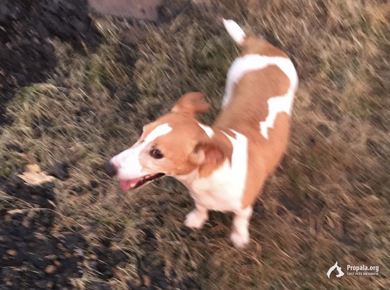 Нашлась пропажа