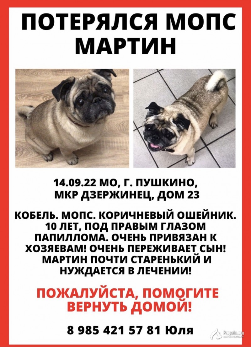 Розыск Мартина!!!