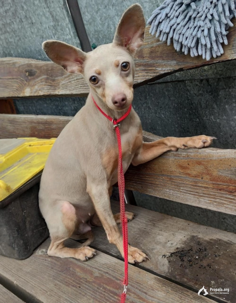 Пропала!SOS!!денежное вознаграждение