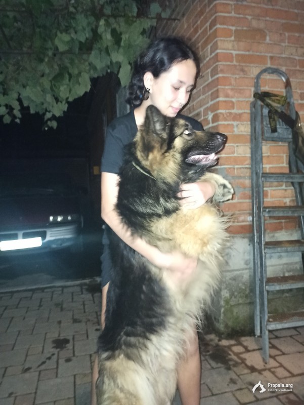 Пропал наш друг