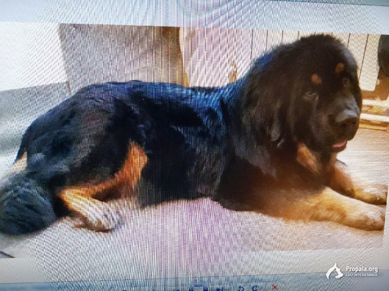 Помогите найти!