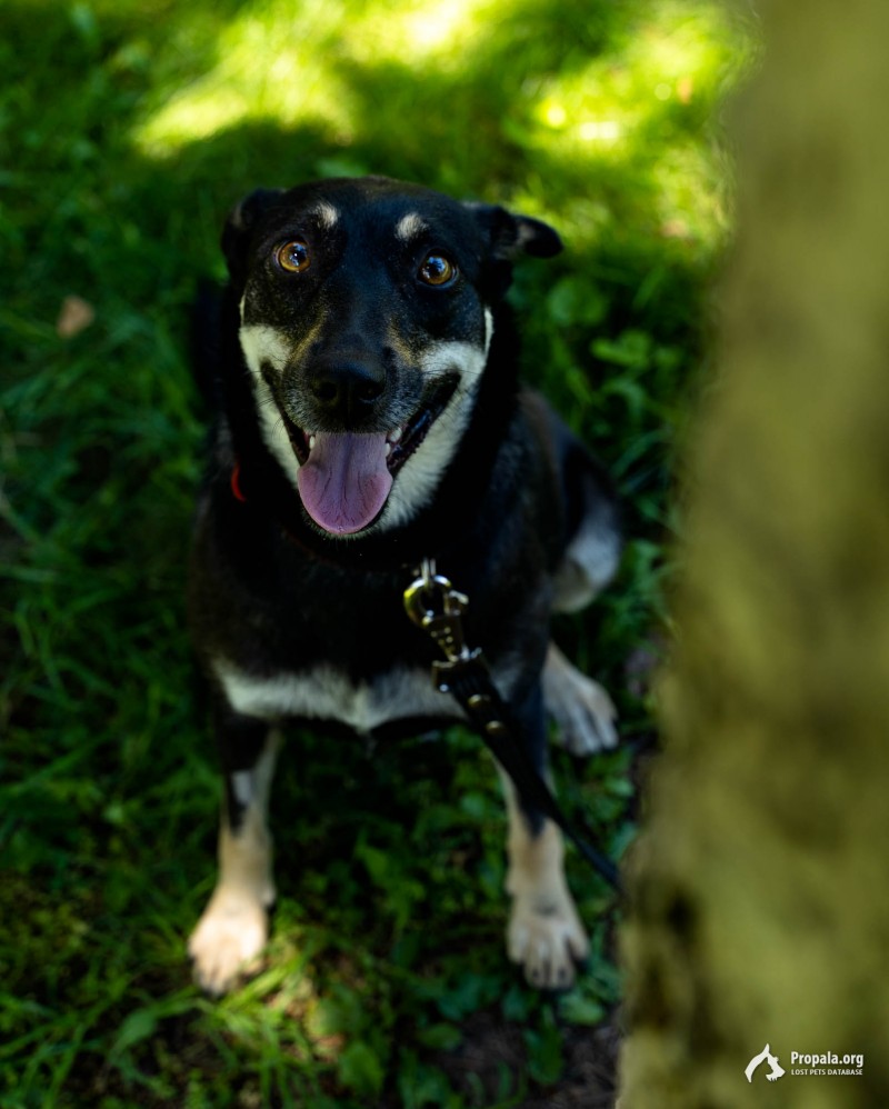 Саманта ищет себе человека!