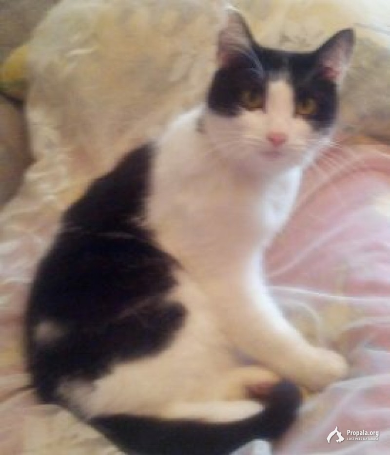 Потерялась !!!