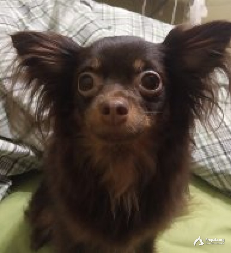 Просим помощи!