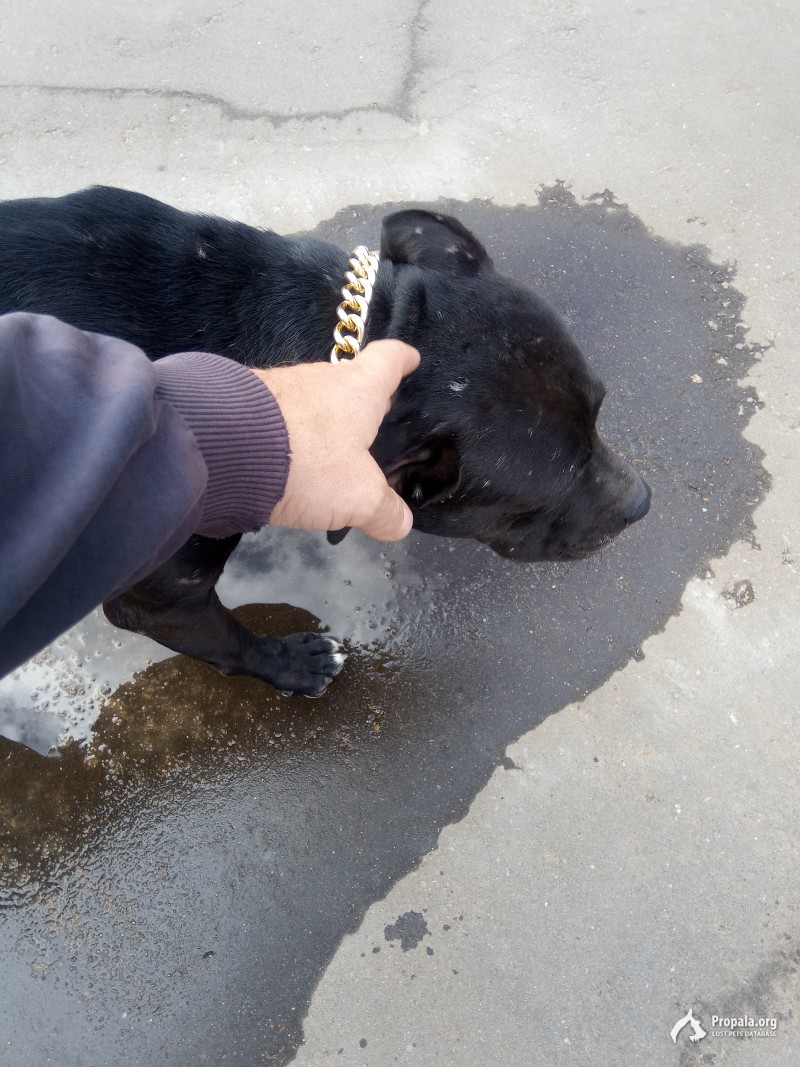 Малоярославец.