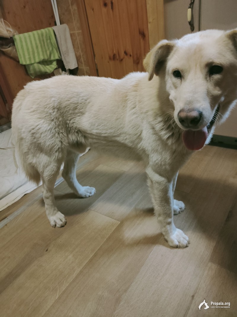 НАЙДЕН кабель в Балашихе