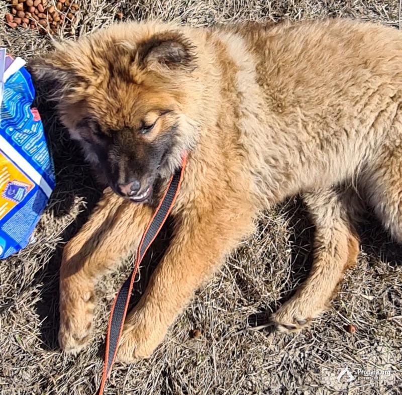 р-н д. Рановка трасса Тамбов-Москва, недейств. АЗС.
