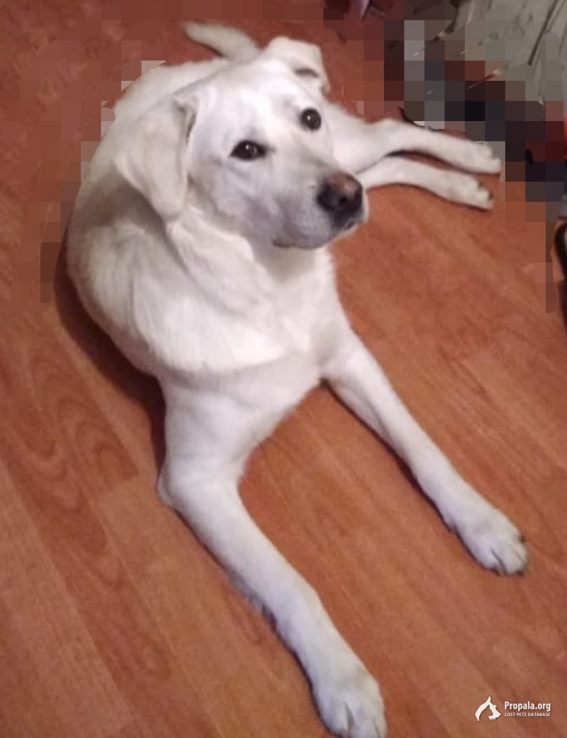 Пропал член семьи