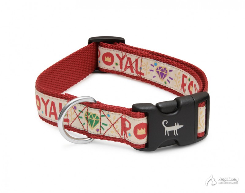 ПОТЕРЯЛАСЬ СОБАКА! НЕ КОНТАКТНАЯ