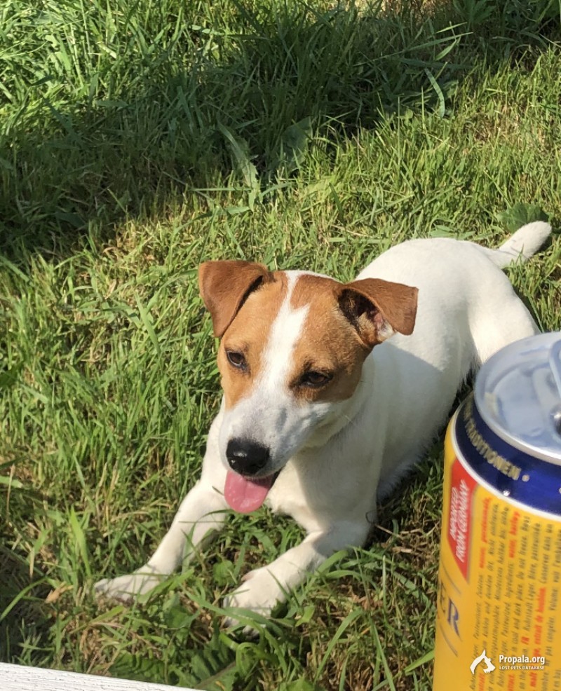 Пропала , с Варфоломеево Тульская область