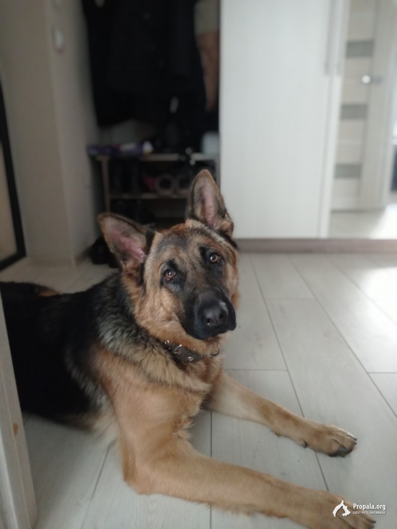 Помогите пожалуйста найти Варю!!!