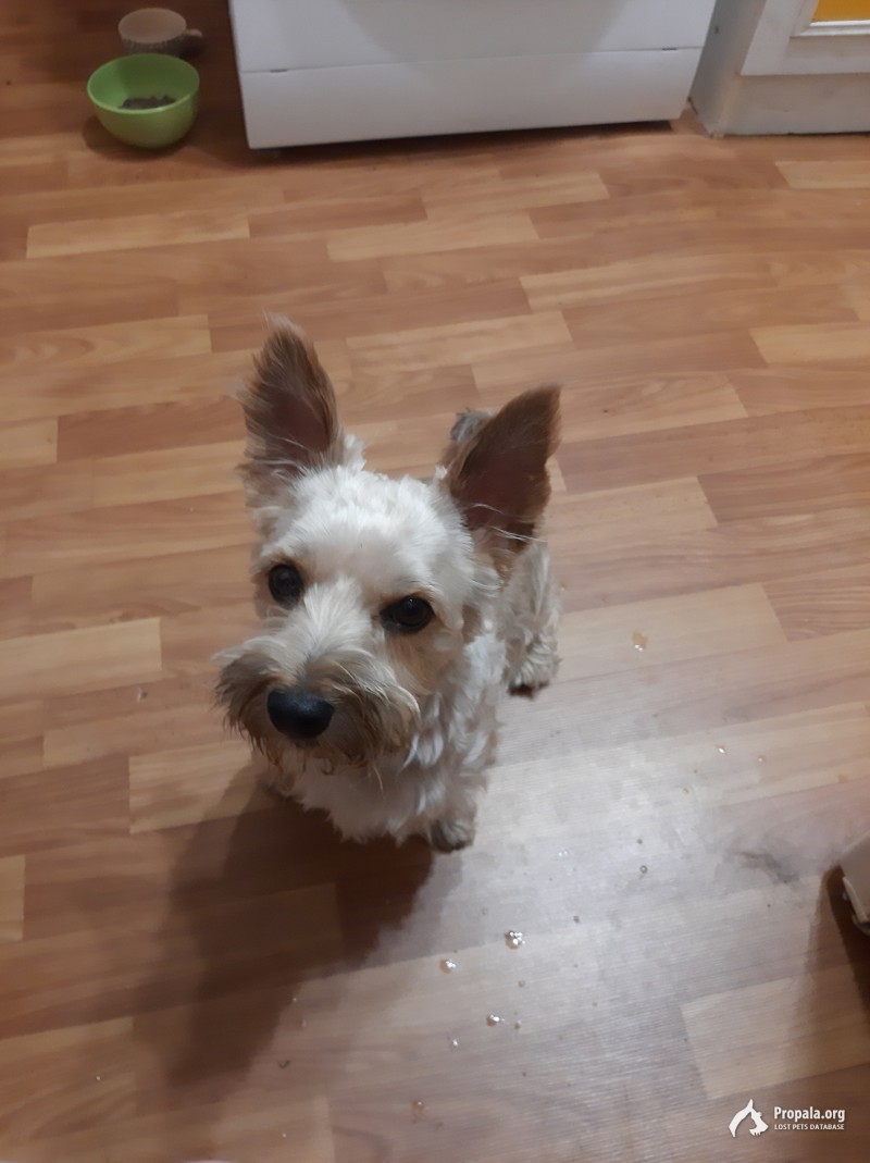 Сегодня в 20:00 нашли потерянного мальчика