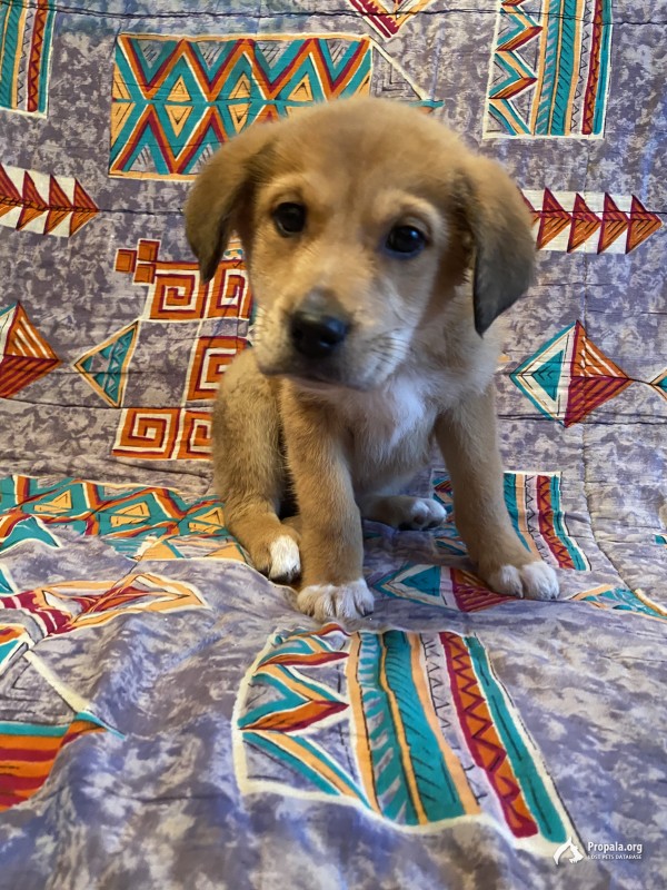 Два партнёра- два разных характера!